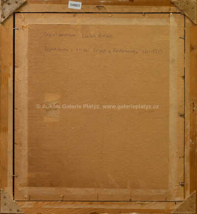  / Vězeň z Cochabamby / Zdeněk Burian