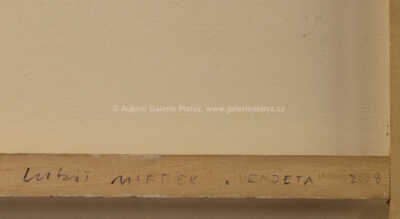  / Vendeta / Lukáš Miffek