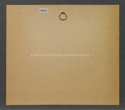  / Havran / Ota Janeček