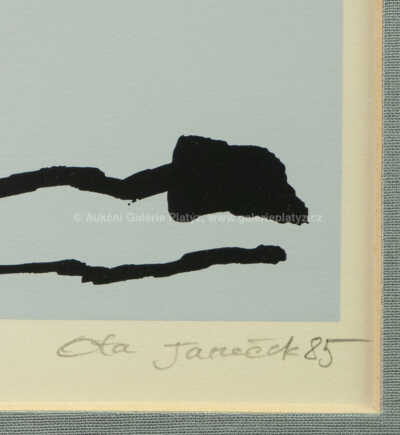  / Havran / Ota Janeček