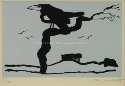  / Havran / Ota Janeček