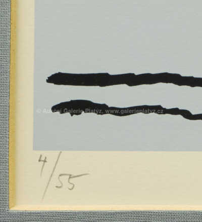  / Havran / Ota Janeček