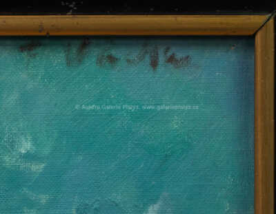  / Na pláži / Fernand Vácha