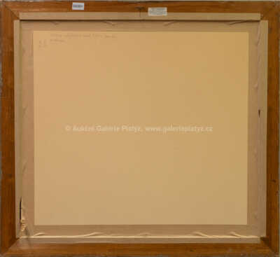  / Notre Dame v dešti, Paříž / František Tavík Šimon