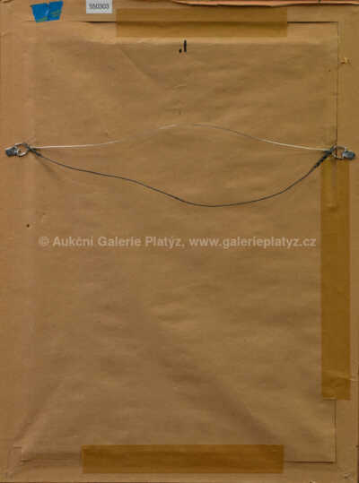  / Barevné okno v Notre Dame, Paříž / František Tavík Šimon