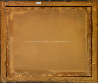  / Hyde Park, Londýn / František Tavík Šimon