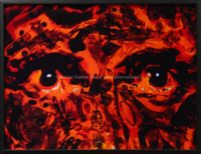 David Černý - Lenticular I.