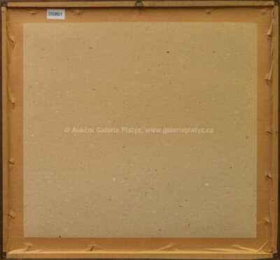  / Na startu / Petr Urban