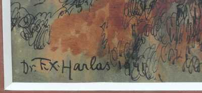  / Pohled do lesa / František Xaver  Harlas