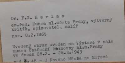  / Pohled do lesa / František Xaver  Harlas