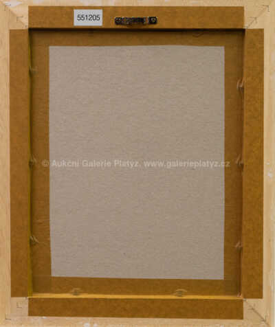  / Balón nad letištěm / Kamil Lhoták