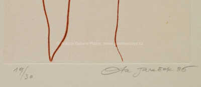  / Dívčí akt a vousáč / Ota Janeček