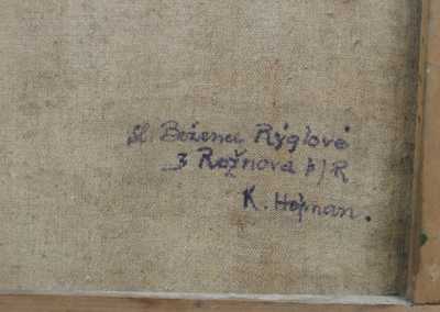  / Snopy při západu slunce  / Karel Hofman