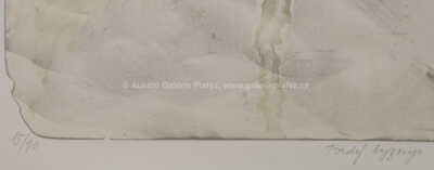  / Tvrdý byznys / Oldřich Kulhánek