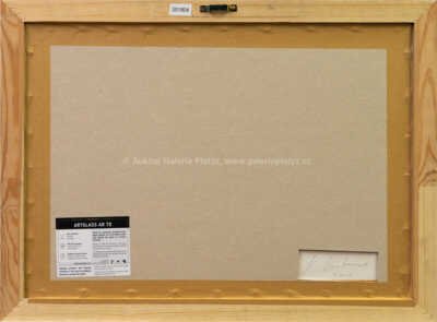  / take me / Krištof Kintera