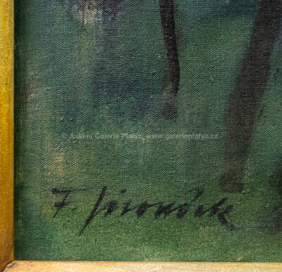  / Nad řekou / František Jiroudek