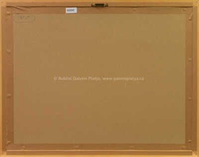  / Malíř / Jan Saudek