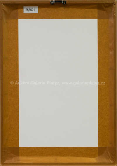  / Tělo krajiny / Jan Kanyza