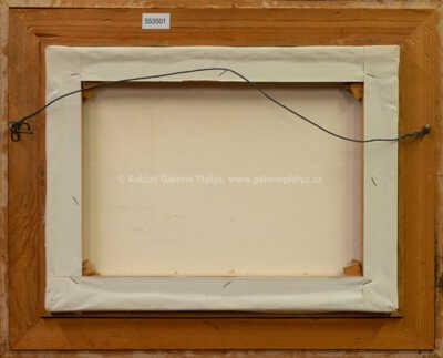  / Léto na potoce / Josef Procházka