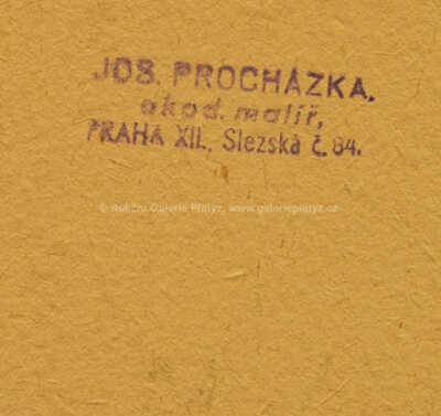  / Kočovníci / Josef Procházka