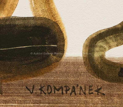  / Turoň / Vladimír Kompánek