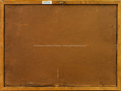  / Zimní krajina (1900) / Jan Honsa