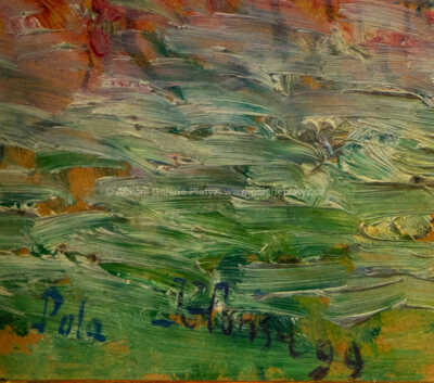  / Hřbitůvek, Pula (1899) / Jan Honsa