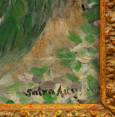  / Partie pod Blaníkem / Augustin Satra