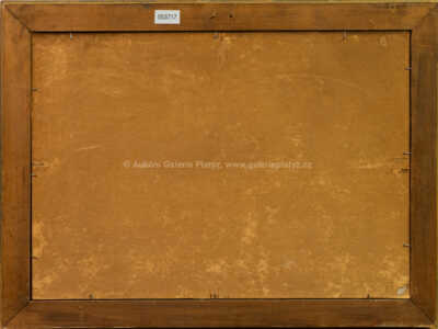  / U chalupy / Ota Bubeníček