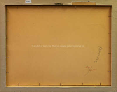  / La Rambla, Barcelona / Josef Jíra