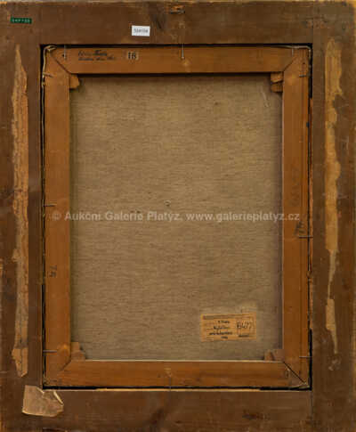  / Kytička pro básníka / Václav Fiala