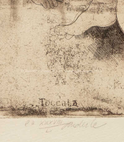  / Toccata / Jiří Anderle