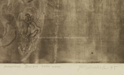  / Monsieur Riviére entre nous / Jiří Anderle