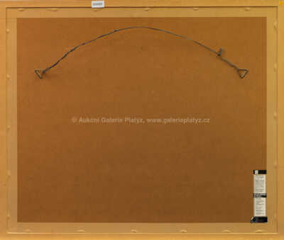  / Monsieur Riviére entre nous / Jiří Anderle