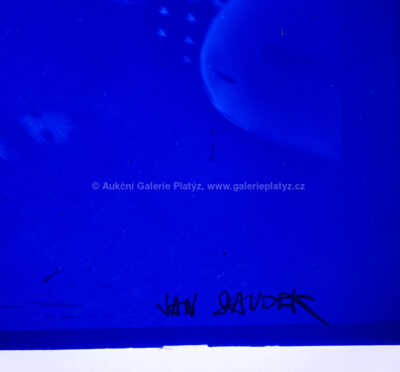  / Za paravanem / Jan Saudek