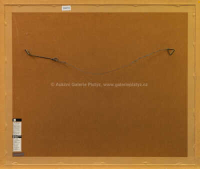  / Mademoiselle Riviére entre nous / Jiří Anderle