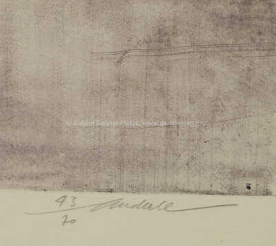  / Madame Riviére / Jiří Anderle