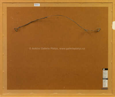  / Madame Riviére / Jiří Anderle