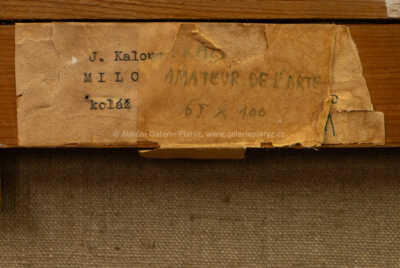  / Amateur del Arte / Jiří Kalousek