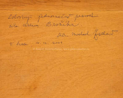  / Studie / Václav Brožík