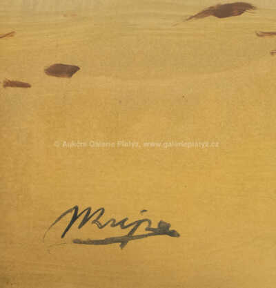  / Pohled do krajiny / Josef Krejsa