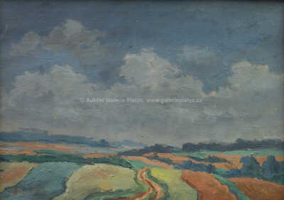  / V polích / Václav Rabas