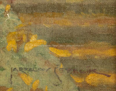  / V zámeckém parku / Jaroslav Šetelík