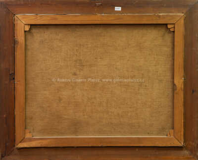  / V zámeckém parku / Jaroslav Šetelík