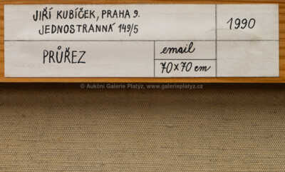  / Průřez / Jiří Kubíček