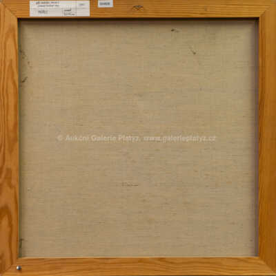  / Průřez / Jiří Kubíček