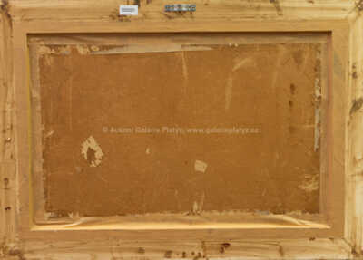  / Rozkvetlé břehy / Karel Langer