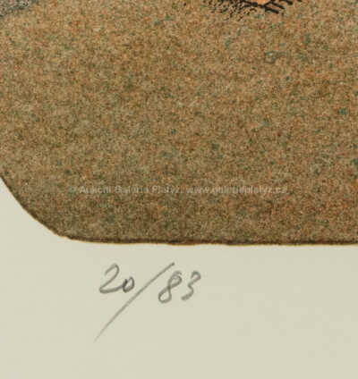  / Rušný den na Grand bazaru / Adolf Born