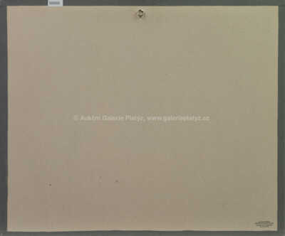  / Rušný den na Grand bazaru / Adolf Born