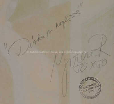  / Dívka v negližé / Robert Jiran